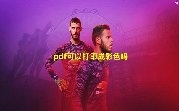 pdf可以打印成彩色吗